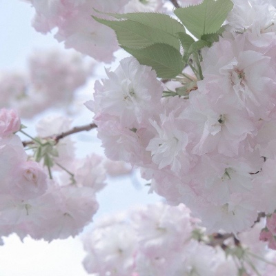 东川福瑞交流群